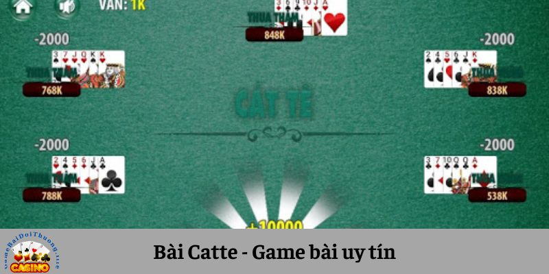 Các vòng chơi Catte cơ bản mà bạn cần nắm rõ